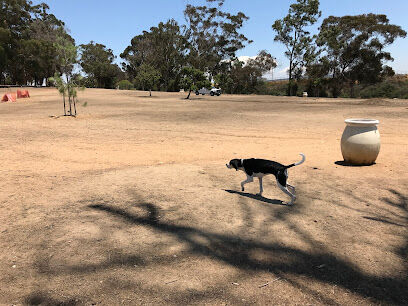 Morley Field Dog Park