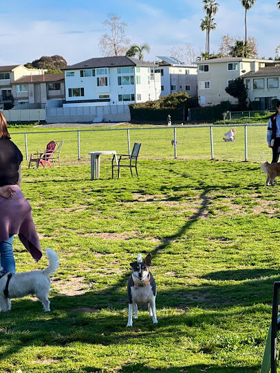My Dog Park