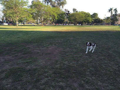 Nate's Point Dog Park