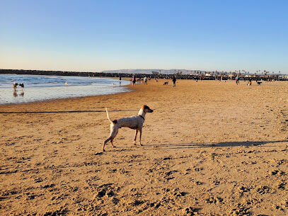 Ocean Beach | Dog Beach