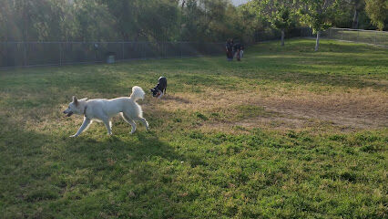 Rancho Bernardo Dog Park