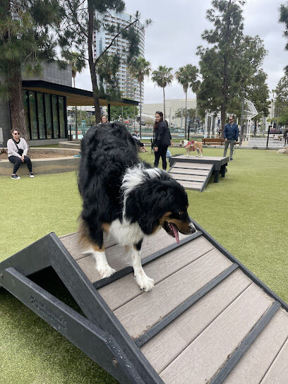 The Dog Park
