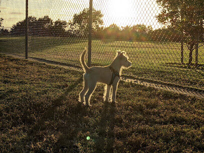Torrey Highlands Dog Park