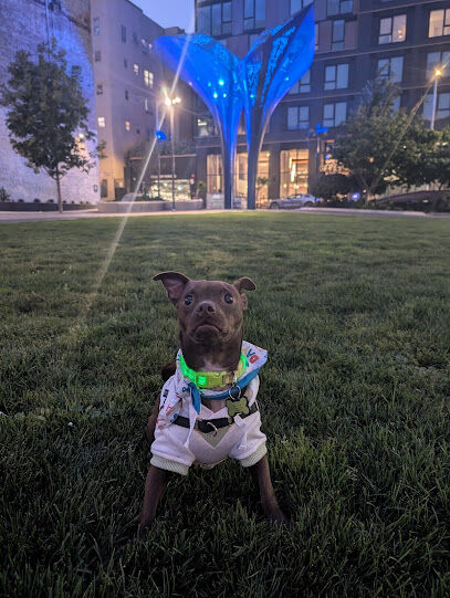 5M Dog Park