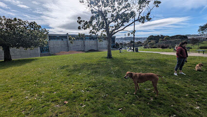 Balboa Dog Play Area