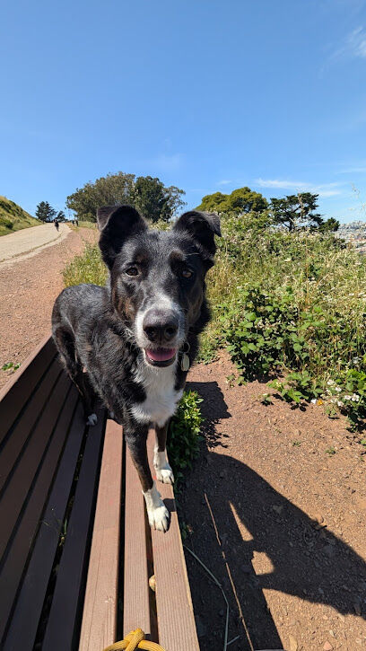Bernal Heights Dog Play Area