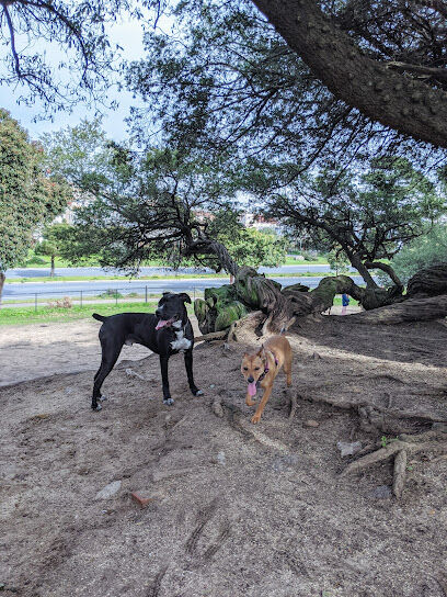 Brotherhood & Alemany Dog Play Area