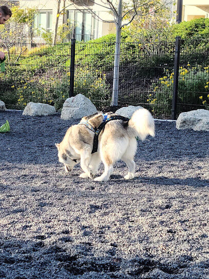 Brotherhood Mini Dog Park