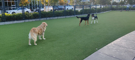 Channel Street Dog Park