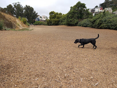 Corona Heights Dog Run