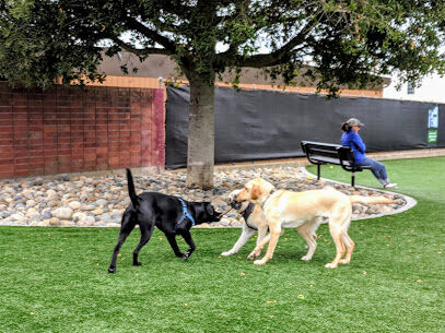 Dog Park | Moscone Park