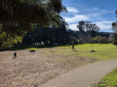 Dog Park | Pine Lake Park