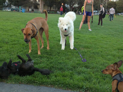 Duboce Park