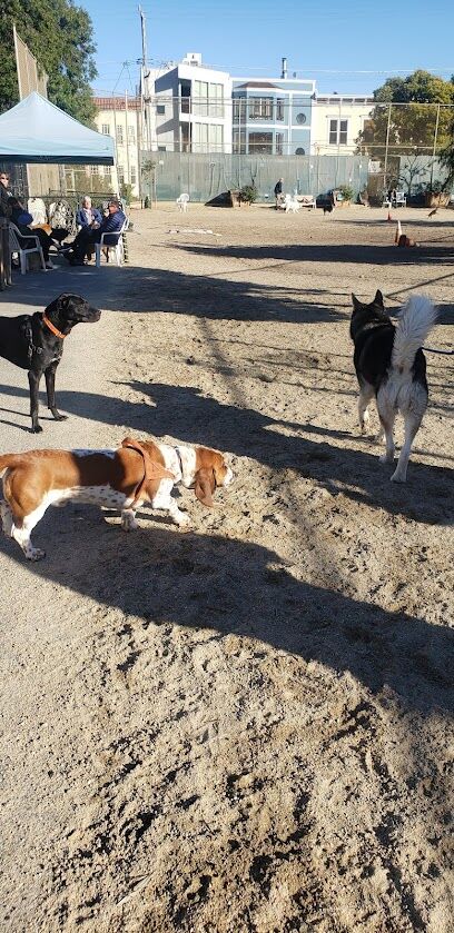 Eureka Valley Dog Play Area