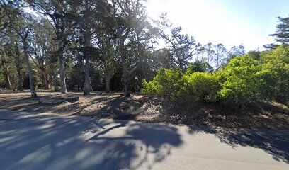 GGP Dog Play Area 3