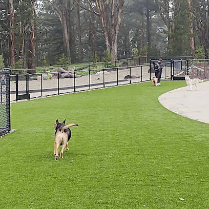 Golden Gate Park Dog Training Area