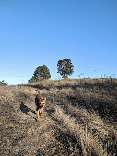 McLaren Park Dog Play Area