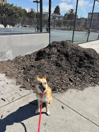 Mission Dolores Dog Play Area North