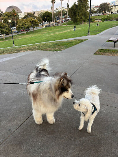 Mission Dolores Dog Play Area South