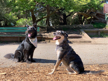 Mountain Lake Park Dog Play Area