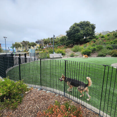 Pepi's Dog Play Area