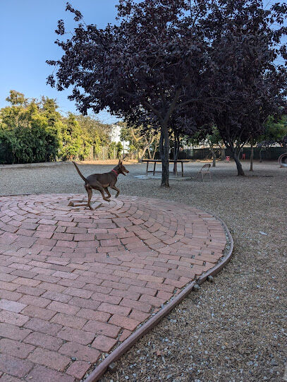 Progress Dog Run