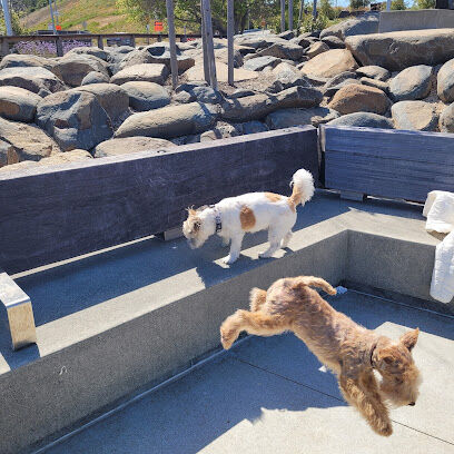 The Rocks Dog Park Yerba Buena Island