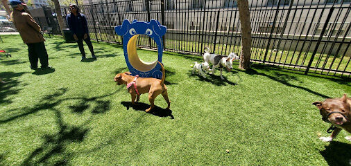 U.N. Plaza Dog Park