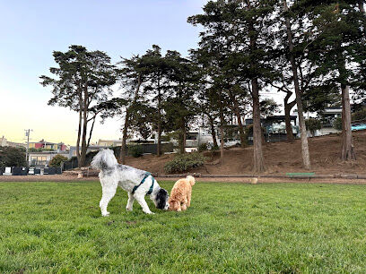 Upper Douglass Dog Play Area