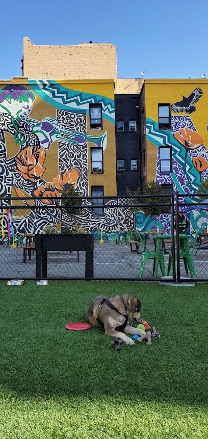 Urban Oasis Dog Park