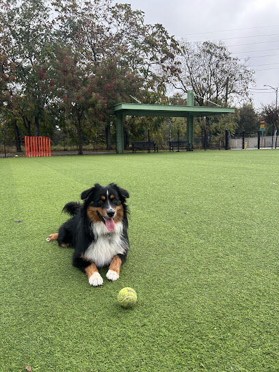 Del Monte Dog Park