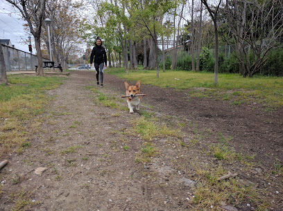 Discovery Dog Park