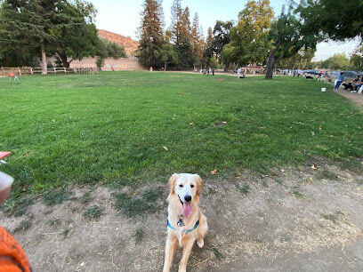 Dog Park at Hellyer County Park