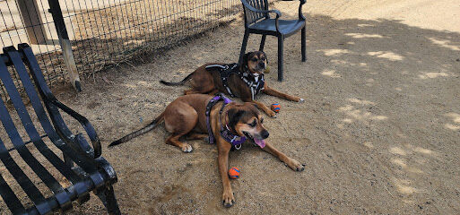 Jeffrey Fontana Dog Park