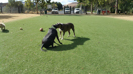 Miyuki Dog Park