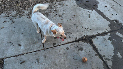 Olinder Dog Park
