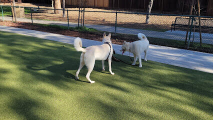 Saratoga Creek Dog Park, San Jose, CA
