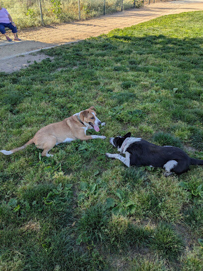 Watson Dog Park