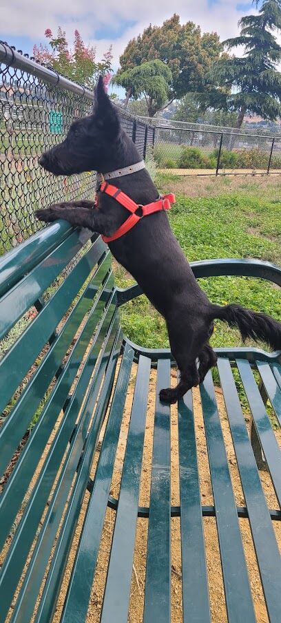 Edendale Dog Park