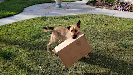 El Chorro Dog Park