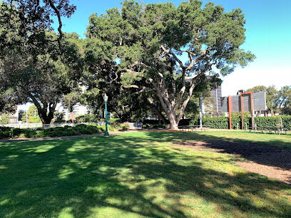Dog Off-Leash Area