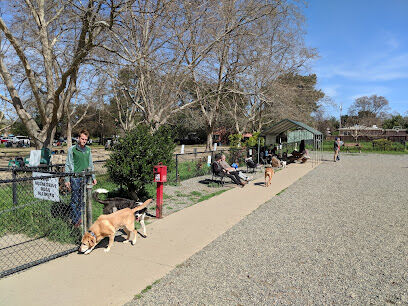 Field of Dogs Dog Park