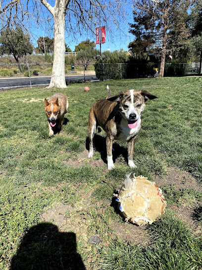 Larry J Marsalli Dog Park