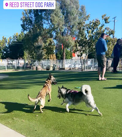Reed Street Dog Park