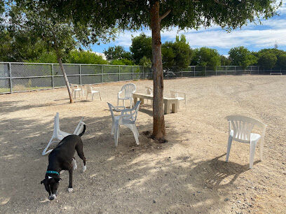 Canine Country Dog Park