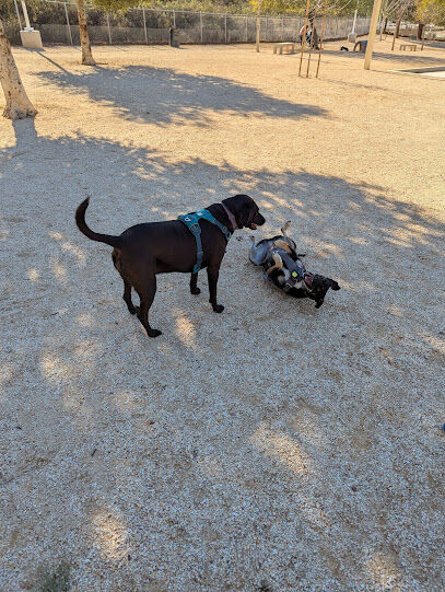 Central Bark Park