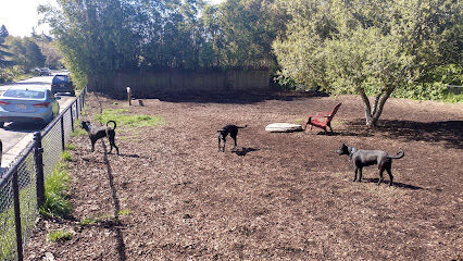 Pacheco Dog Park