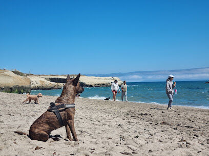 West Cliff Dog Park