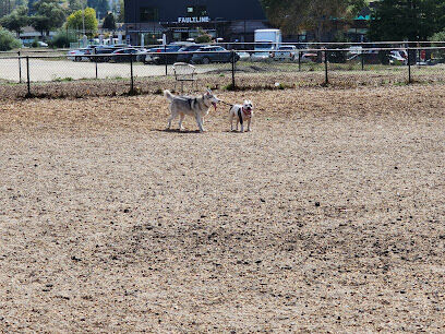 Skypark Dog Park