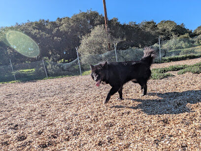 Ft Ord Dog Park